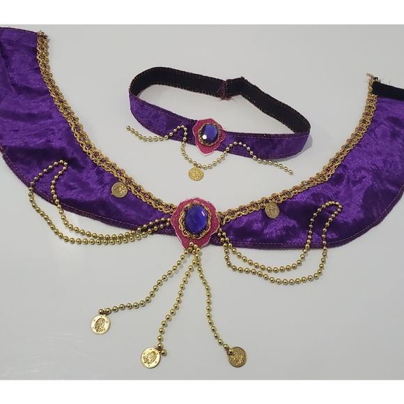 Princess Jasmine Halloween Costume - Picture 3 of 10